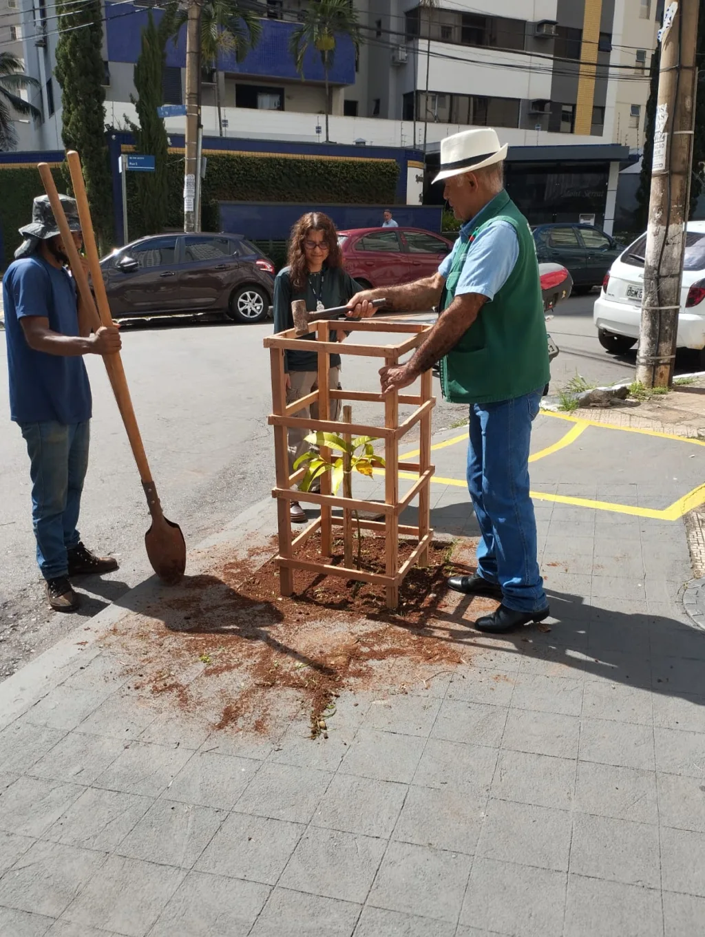 Programa Goiânia + Verde facilita plantio de árvores em calçadas