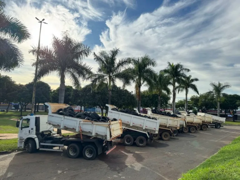 Prefeitura de Goiânia recolhe mais de 25 toneladas de pneus inservíveis em ação na região Leste