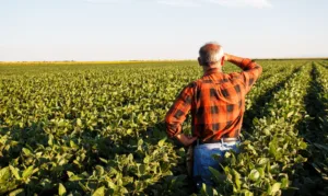 Judiciário contará com dados técnicos para analisar recuperações judiciais do agro