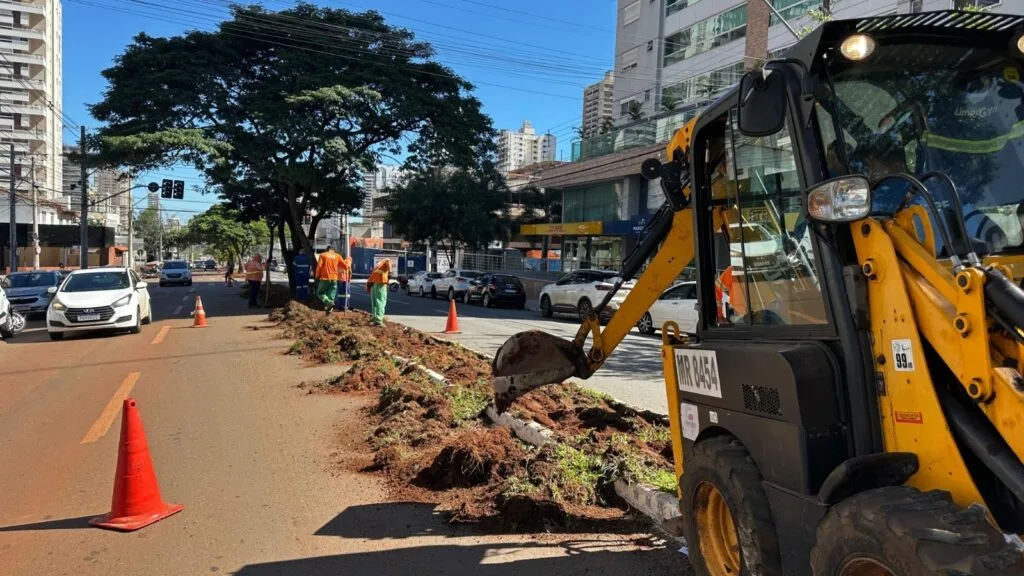 Comurg avança na revitalização da T-2 com novo paisagismo e requalificação completa dos canteiros