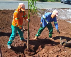 Comurg segue com serviços essenciais no feriado prolongado