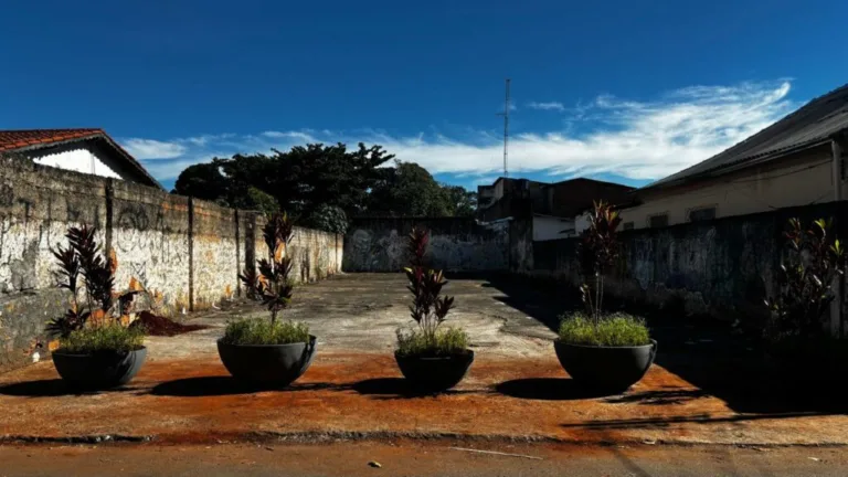 Comurg instala barreira vegetal em área do césio-137 para impedir uso irregular