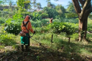 Prefeitura de Goiânia remove mais de 25 toneladas de lixo do Córrego Taquaral