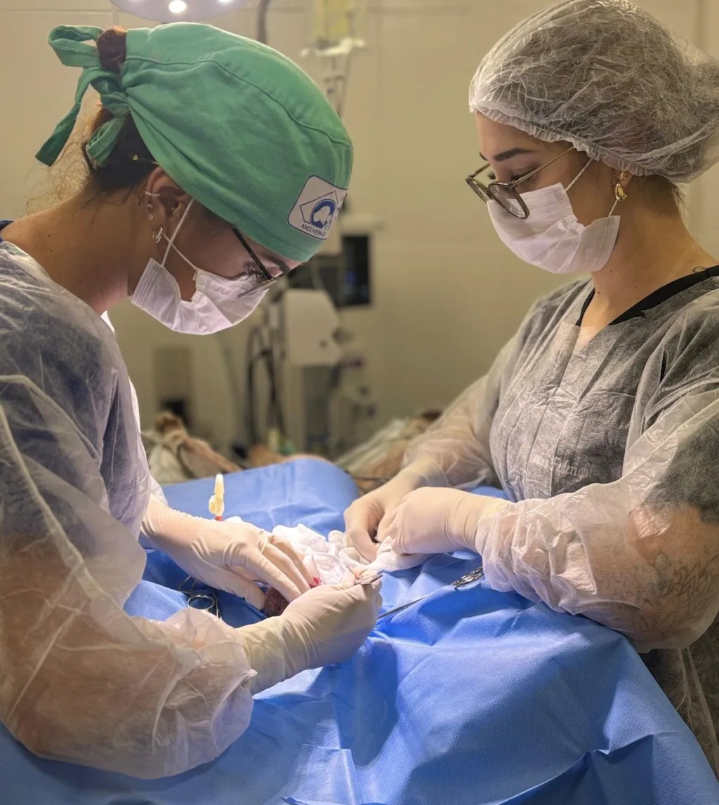 UPAVet ultrapassa 13 mil atendimentos nos primeiros três meses de 2026