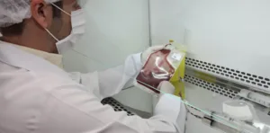 Goiás amplia coleta e processamento para transplante de medula óssea em Goiânia