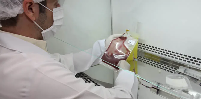Goiás amplia coleta e processamento para transplante de medula óssea em Goiânia