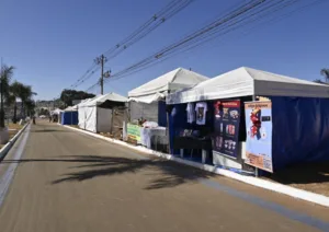 Governo de Goiás abre inscrições para barracas comerciais na Rodovia dos Romeiros