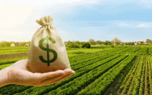 Justiça reconhece direito de produtor rural ao alongamento de dívida após frustração de safra