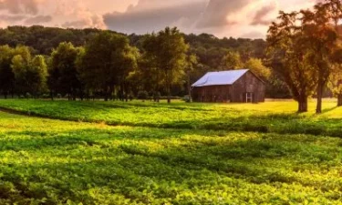 Juíza suspende leilão de imóvel rural por indícios de irregularidades em notificação