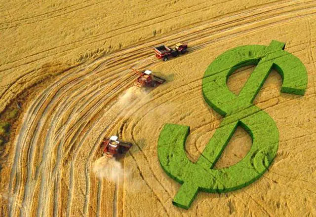 Senado acelera tramitação de projeto de refinanciamento de dívidas rurais; veja quem tem direito