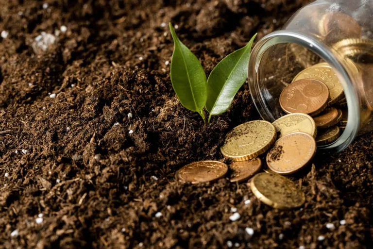 TJGO mantém extinção de hipoteca após prescrição de dívida rural vencida há mais de 28 anos