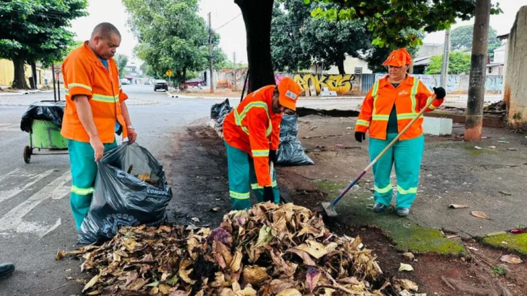 Comurg intensifica varrição e retirada de folhas secas em Goiânia durante período de estiagem