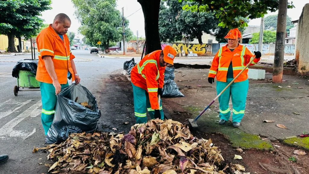 Comurg intensifica varrição e retirada de folhas secas em Goiânia durante período de estiagem
