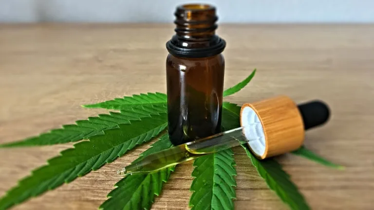 Congresso sobre cannabis terapêutica é destaque da programação da ESA-GO nesta semana