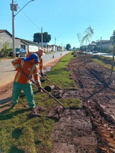 Serviços de arborização e paisagismo avançam em diferentes pontos de Goiânia