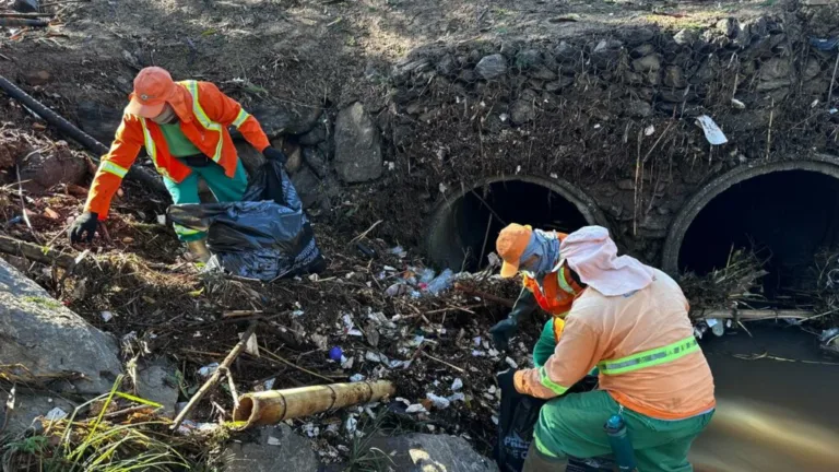 Comurg atende 45 quedas de árvores e remove mais de 100 toneladas de resíduos após temporal