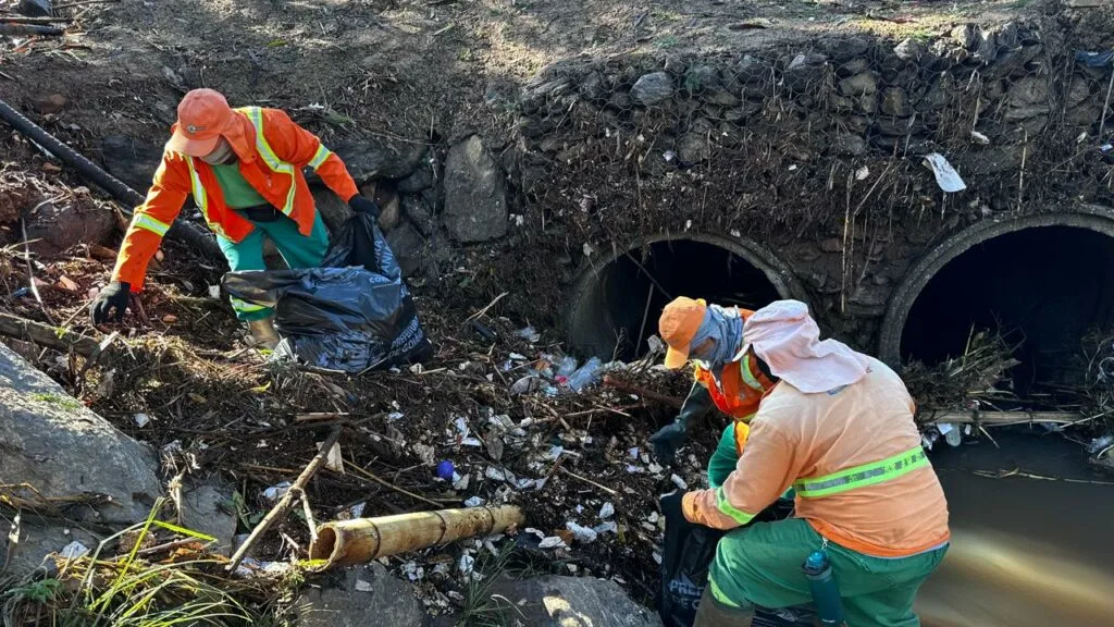 Comurg atende 45 quedas de árvores e remove mais de 100 toneladas de resíduos após temporal