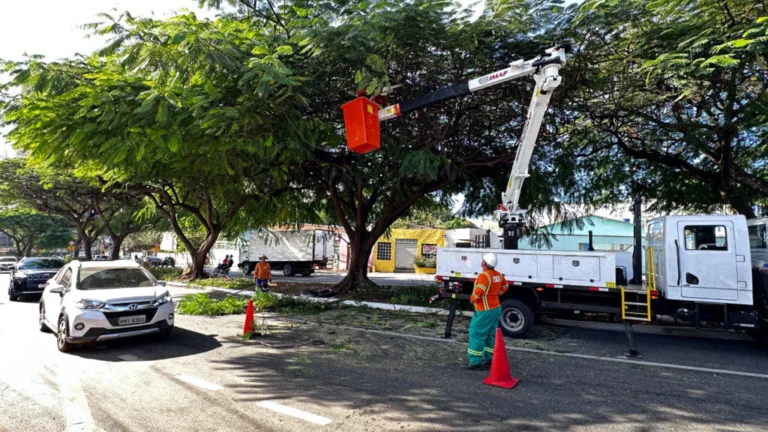 Comurg realiza poda preventiva em 17 bairros das regiões Oeste e Sudoeste