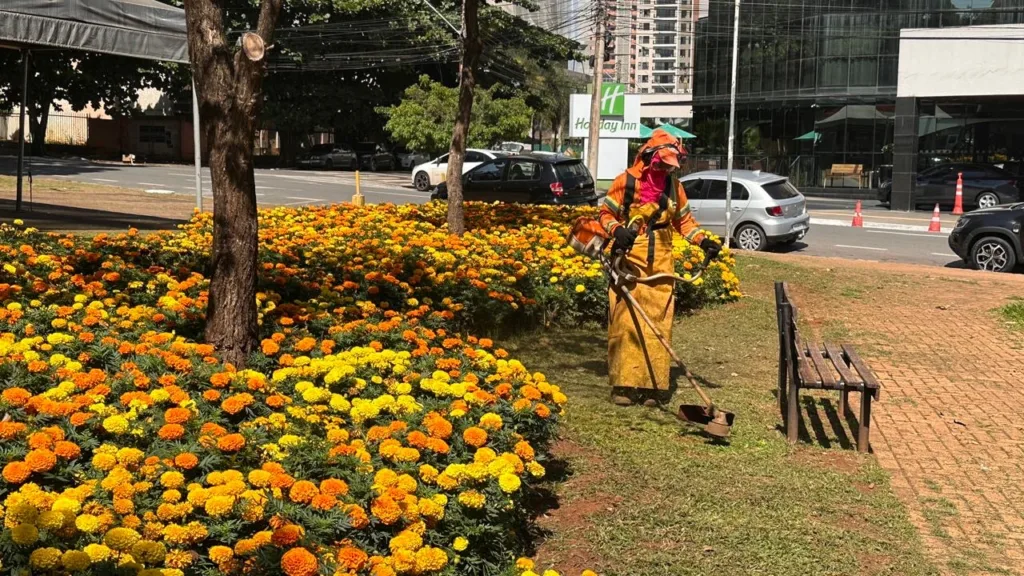 Prefeitura leva ações de paisagismo, irrigação e manutenção urbana a mais de 90 endereços da capital