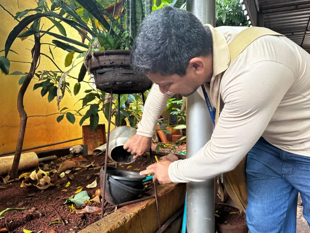 Com previsão de novas chuvas na próxima semana, Prefeitura de Goiânia alerta sobre cuidados com arboviroses