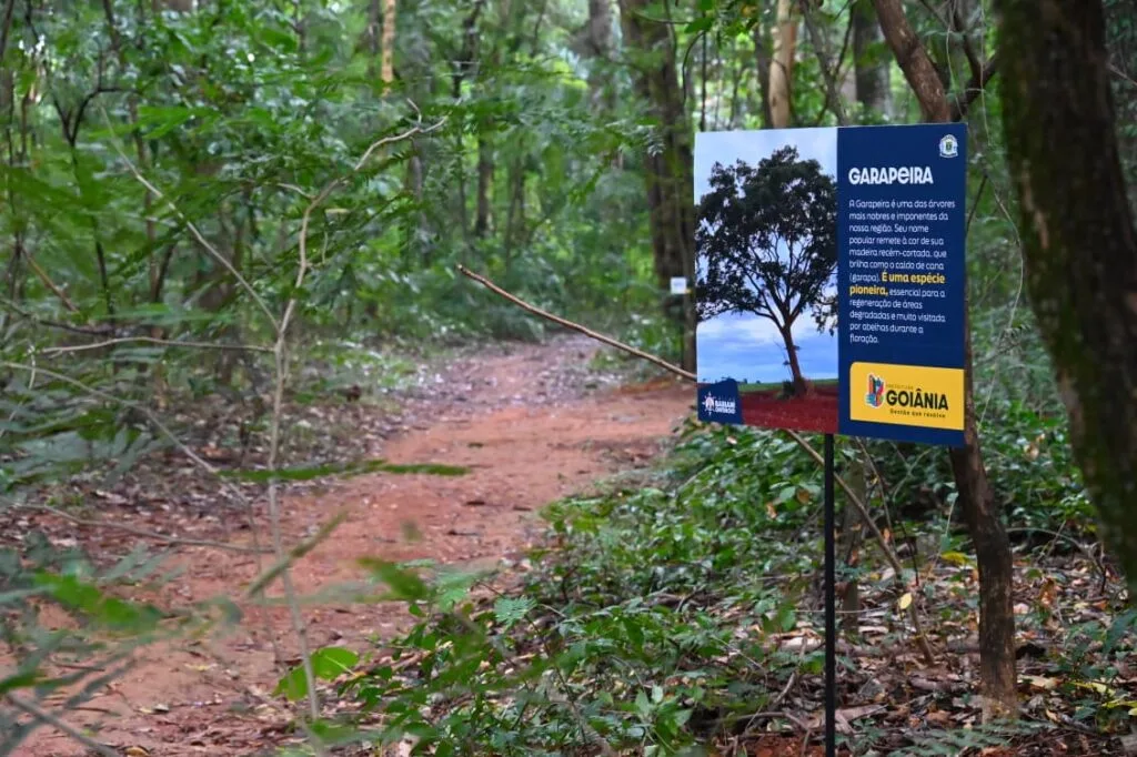 Mabel lança Agenda Goiânia Mais Verde, maior estratégia de infraestrutura ambiental da história da capital