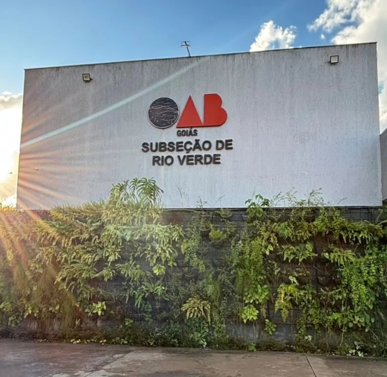 OAB de Rio Verde pede criação de Vara das Garantias para reduzir demora em procedimentos criminais