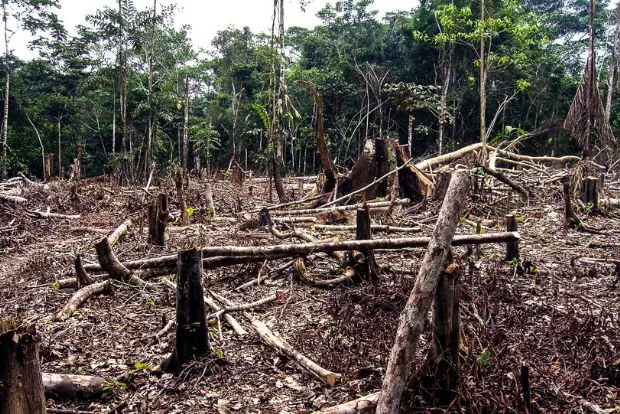 AGU lança programa para regularização de dívidas com o Ibama com descontos de até 50%