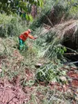 Comurg desobstrui córregos em Goiânia e previne alagamentos