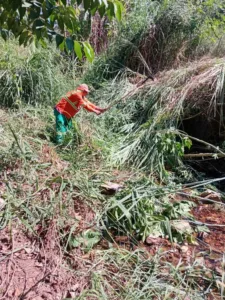 Prefeitura de Goiânia limpa 5,7 milhões de m² em volta de mananciais