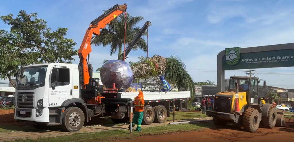Comurg inicia transplante de ipê e bacuri na Praça Ciro Lisita em Goiânia.