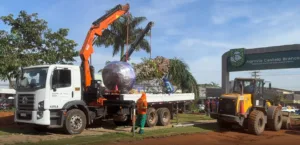Comurg inicia transplante de ipê e bacuri na Praça Ciro Lisita em Goiânia.
