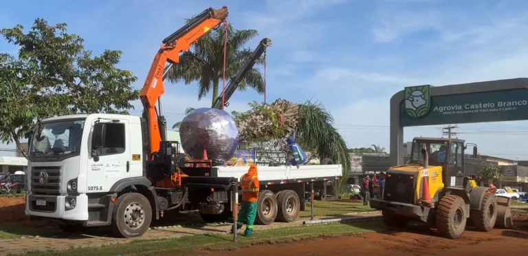 Comurg inicia transplante de ipê e bacuri na Praça Ciro Lisita em Goiânia.