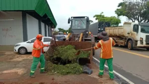 Comurg poda quase 110 mil m² de grama no fim de semana e dá sequência aos serviços nesta segunda-feira (27/7)