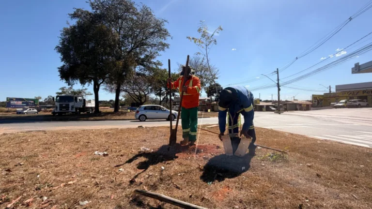 Comurg planta 156 mudas de árvores em bairros da capital