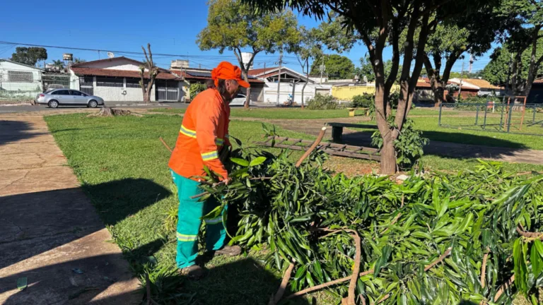 Comurg recolhe 510 toneladas de massa verde em 55 locais da cidade