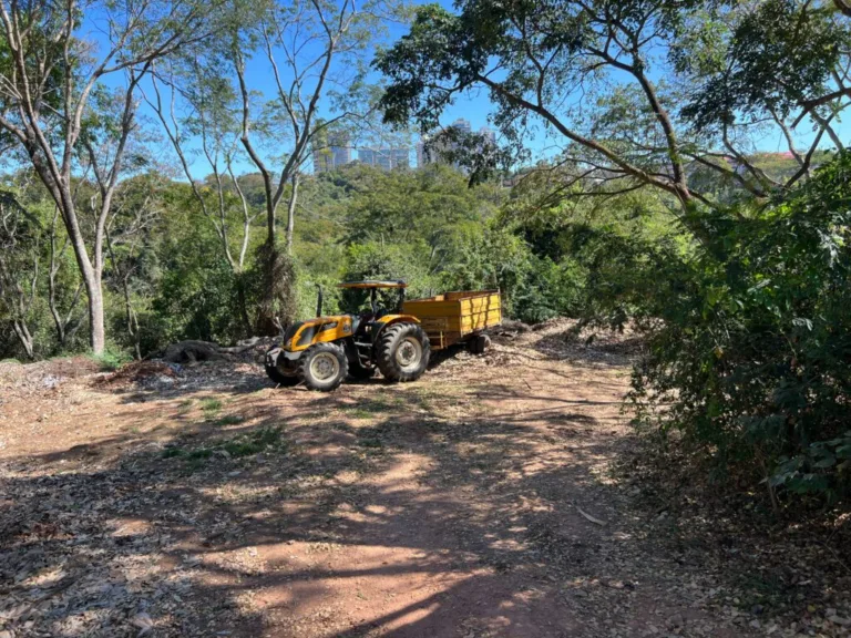 Empresa é autuada por descarte irregular de resíduos em Área de Preservação Permanente