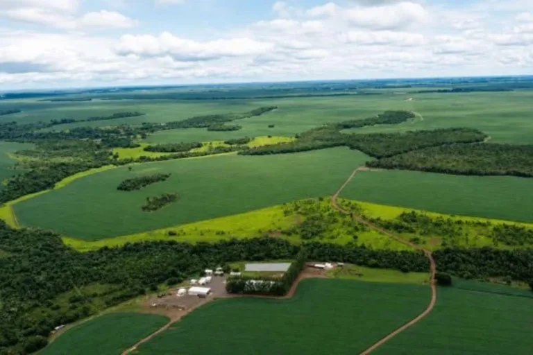 Liminar suspende leilões de fazenda avaliada em R$ 77,6 milhões em Rio Verde