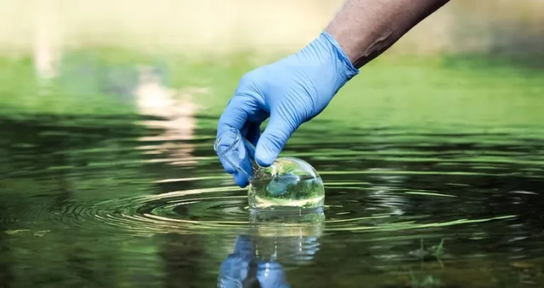 TJGO afasta obrigação de Ministério Público adiantar honorários de perícia em ação ambiental