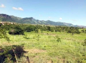 Justiça suspende leilão de pequena propriedade rural dada em garantia por produtor no Tocantins