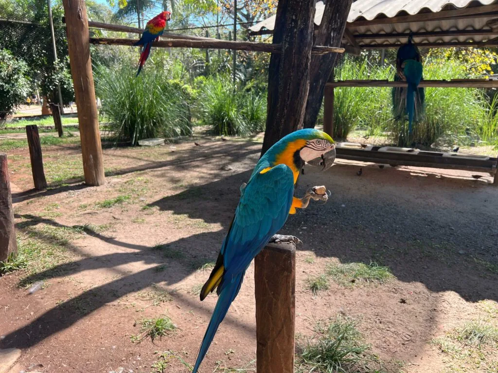 Zoológico tem cuidados especiais com animais durante variações de temperatura