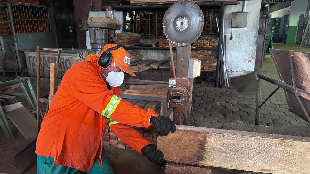 Companhia de Urbanização de Goiânia transforma árvores caídas em bancos