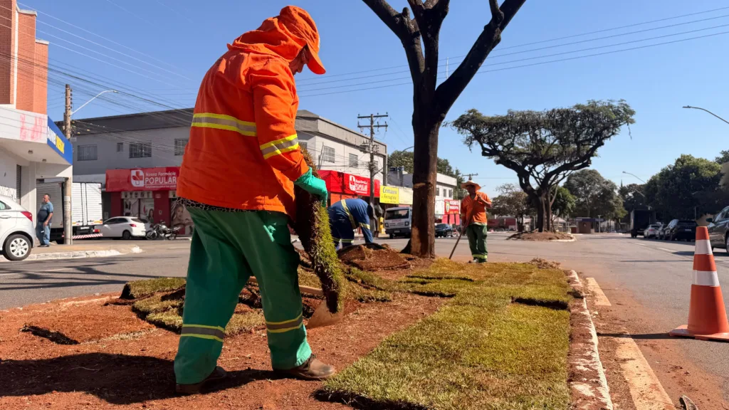 Comurg revitaliza vias da Região Leste com flamboyants e 1,5 mil m² de grama esmeralda