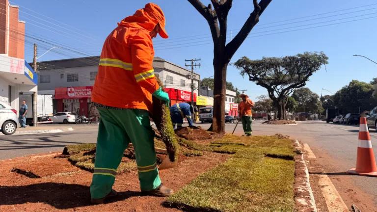 Comurg revitaliza vias da Região Leste com flamboyants e 1,5 mil m² de grama esmeralda