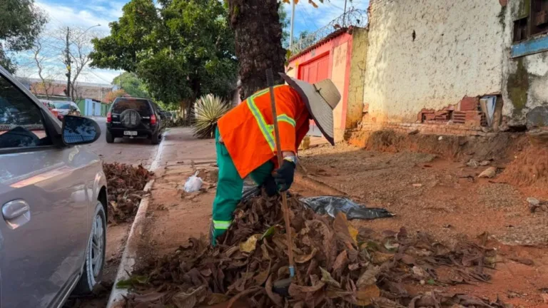 Comurg intensifica rastelação de folhas secas para prevenir incêndios e manter áreas públicas limpas durante a estiagem