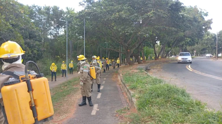 Prefeitura de Goiânia reforça ações de prevenção às queimadas e capacita forma primeira brigada municipal de incêndios