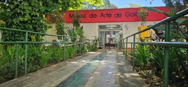 Exposição “O que resta e o que sonha”, de Anna Rita Araújo, segue em cartaz no MAG até 31 de agosto