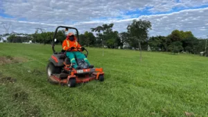 Companhia de Urbanização de Goiânia abre licitação para poda de