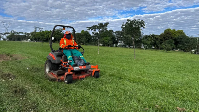 Companhia de Urbanização de Goiânia abre licitação para poda de