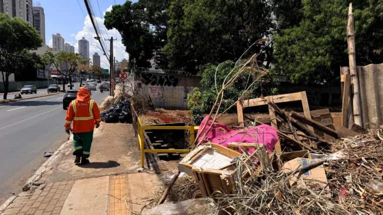 Companhia de Urbanização de Goiânia retira mais de dez toneladas
