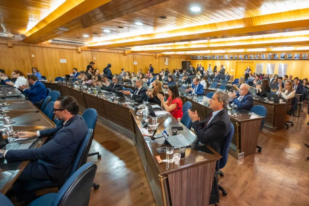 Conselheiros da OAB elegem Fernanda Alves de Souza para secretária-geral